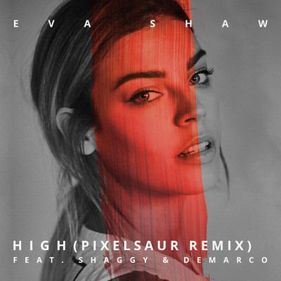 シングル/High (Pixelsaur Remix) feat.Shaggy,Demarco/Eva Shaw
