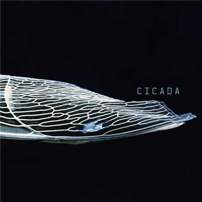 アルバム/CICADA/waterweed