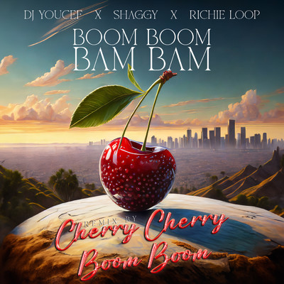 シングル/Boom Boom Bam Bam (Cherry Cherry Boom Boom Remix)/DJ Youcef／シャギー／RICHIE LOOP