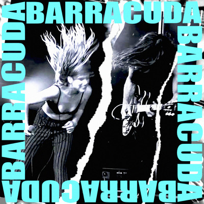 シングル/Barracuda/Miels