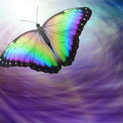 Peaceful Butterfly/CreativeWaves & Energy Healer & Pure Healing Waves & Spiritual Flower