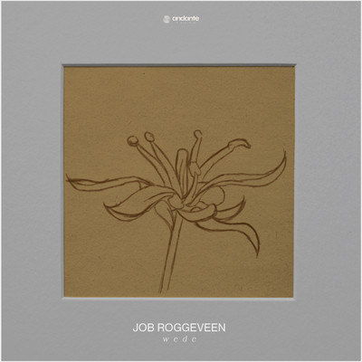 シングル/Wede/Job Roggeveen