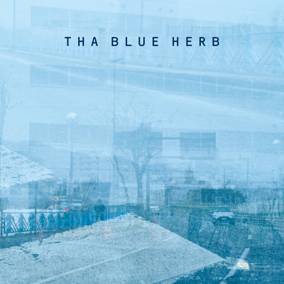 COLD CHILLIN'/THA BLUE HERB