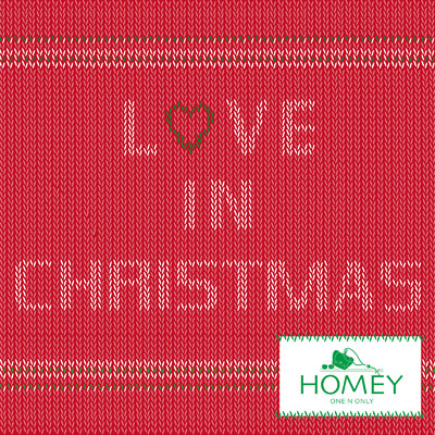 シングル/LOVE IN CHRISTMAS/HOMEY