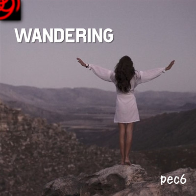 シングル/Wandering/pec6