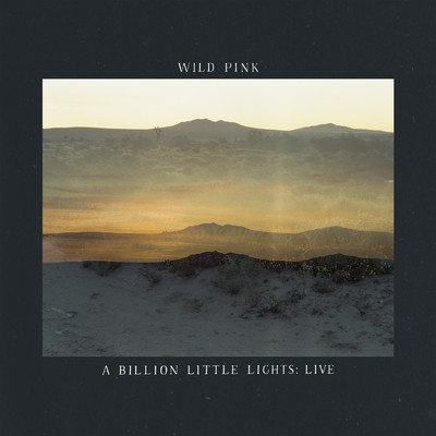 A Billion Little Lights (Live)/Wild Pink