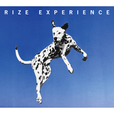 アルバム/EXPERIENCE/RIZE
