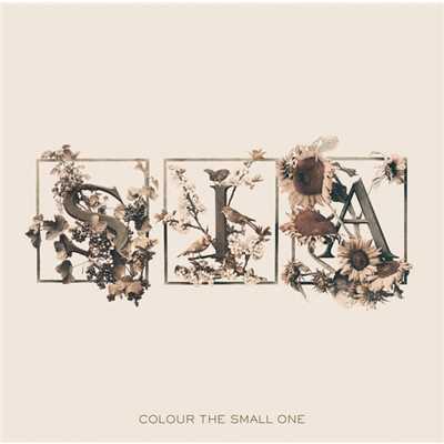 アルバム/Colour The Small One/Sia