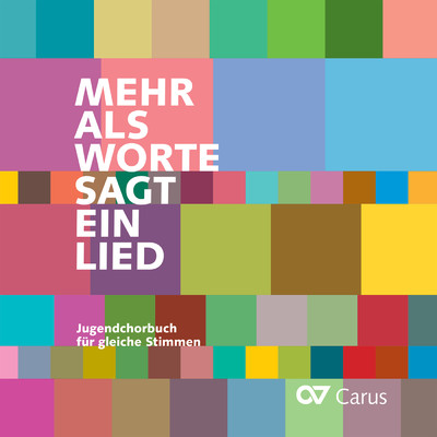Mehr als Worte sagt ein Lied (Begleit-CD)/Madchenkantorei Domkirche St. Eberhard