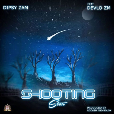 Shooting Star (feat. Devlo ZM)/Dipsy Zam
