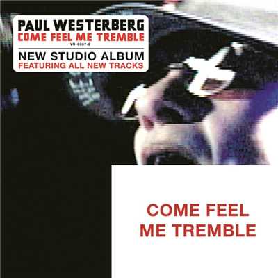 Never Felt Like This Before/Paul Westerberg