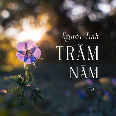シングル/Nguoi tinh tram nam (lofi)/Hoang Mai