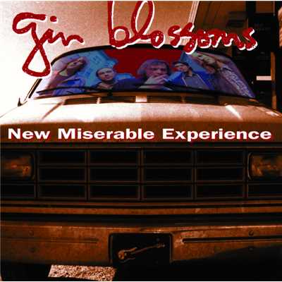 Lost Horizons/GIN BLOSSOMS