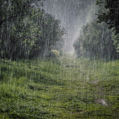 Heavy Rain Drops/Nature sounds orchestra