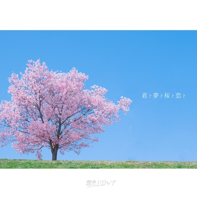 君と夢と桜と恋と/透色ドロップ