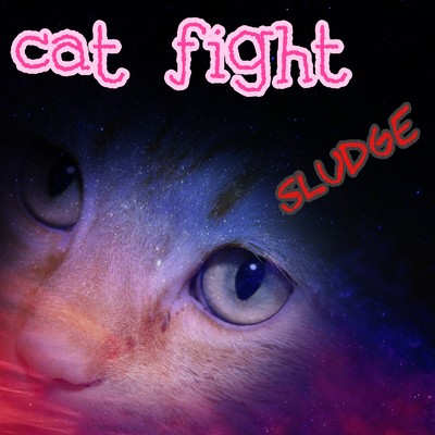 CAT FIGHT/SARAH & sludge