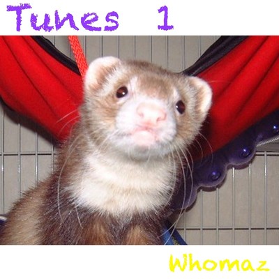 アルバム/Tunes 1/Whomaz