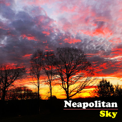 シングル/Neapolitan Sky/The Avett Brothers
