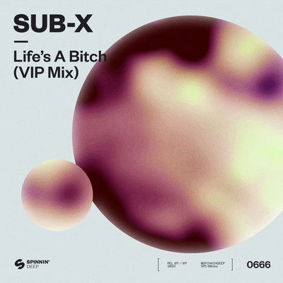 Life's A Bitch (VIP Mix)/SUB-X