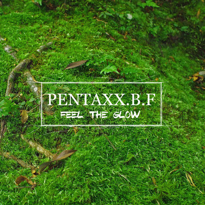 アルバム/FEEL THE GLOW/PENTAXX.B.F