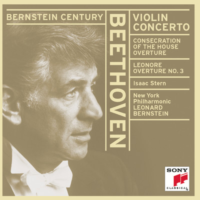 Leonard Bernstein, Isaac Stern