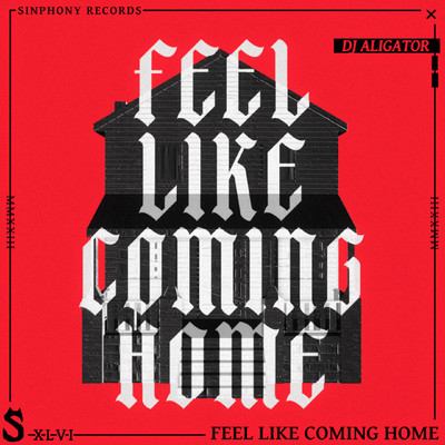 シングル/Feel Like Coming Home/DJ Aligator