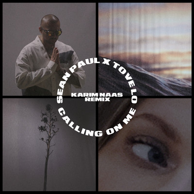 シングル/Calling On Me (featuring Tove Lo／Karim Naas Remix)/ショーン・ポール