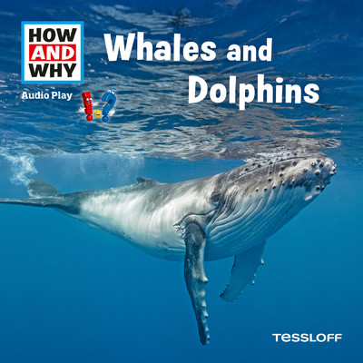 アルバム/Whales And Dolphins/HOW AND WHY