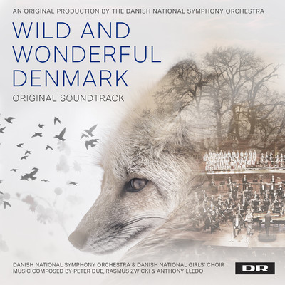 アルバム/Wild and Wonderful Denmark (Music from the Original TV Series)/Danish National Symphony Orchestra