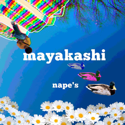 mayakashi/nape's