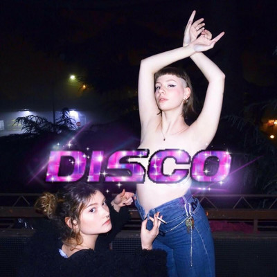 i wanna be your dancing queen/Various Artists