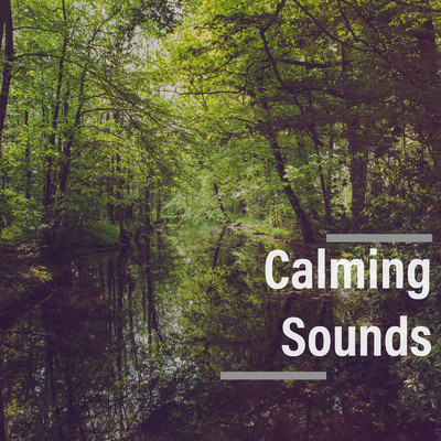 River Sounds/Nature Field Sounds & Forest Sounds