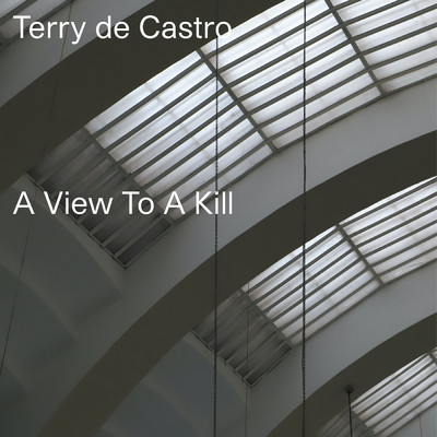 A View To A Kill/Terry de Castro