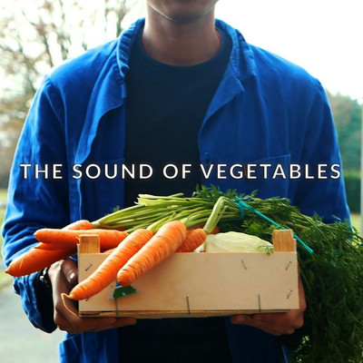 The Sound of Vegetables/Florin Quentin