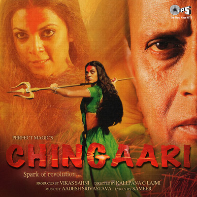 アルバム/Chingaari (Original Motion Picture Soundtrack)/Aadesh Shrivastava
