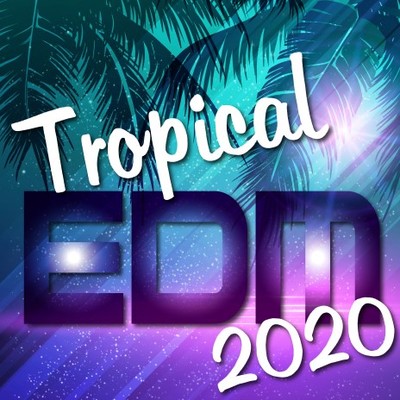 アルバム/Tropical EDM 2020/Platinum Project