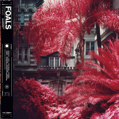 In Degrees (Purple Disco Machine Remix)/Foals