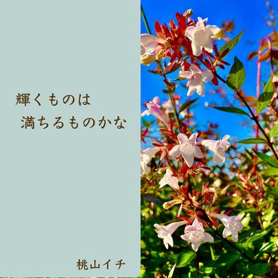 It's Never Too Late/桃山イチ