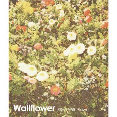 Dreamy Days/Wallflower