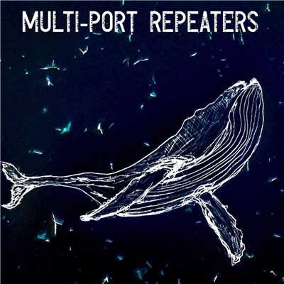 408D/MULTI-PORT REPEATERS