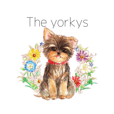 アルバム/カーテン ／ 発光少女/The Yorkys