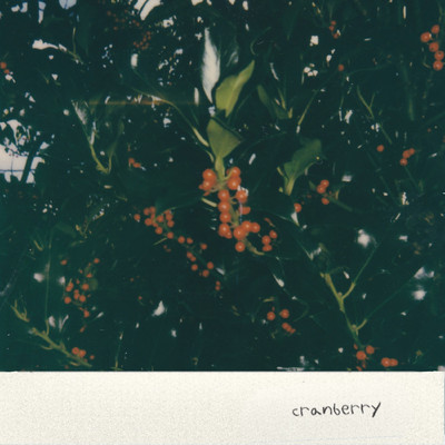 シングル/Cranberry/LEVENUE