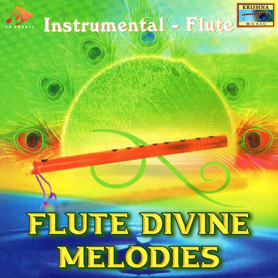 アルバム/Flute Divine Melodies/Raman Krishna