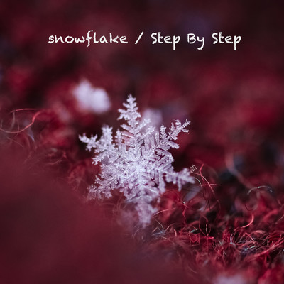 snowflake ／ Step By Step/Paka Music Project