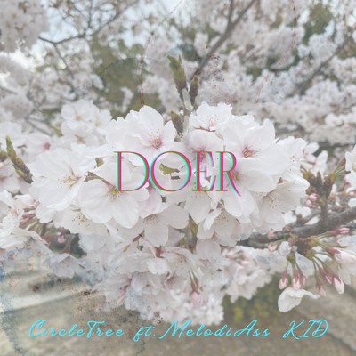 DOER (feat. MelodiAss KID)/Circletree