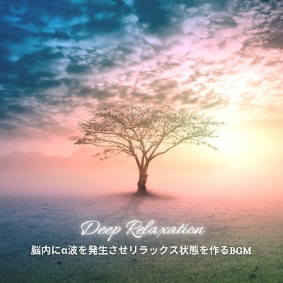 アルバム/脳内にα波を発生させリラックス状態を作るBGM/Dream Star