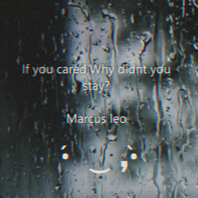 If You Cared, Why Didnt You Stay？/Marcus Leo