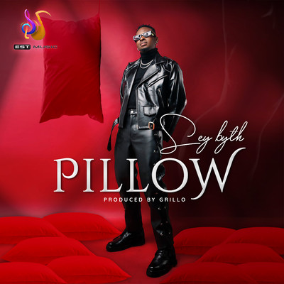 Pillow/Sey Byth