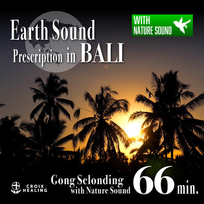 Earth Sound Prescription in BALI 〜Gong Selonding with Nature Sound〜 66min./RELAX WORLD feat. Gamelan Selonding in Petak Village
