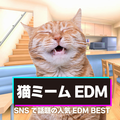 猫ミームEDM 〜SNSで話題の人気EDM BEST〜 (DJ MIX)/DJ NOORI